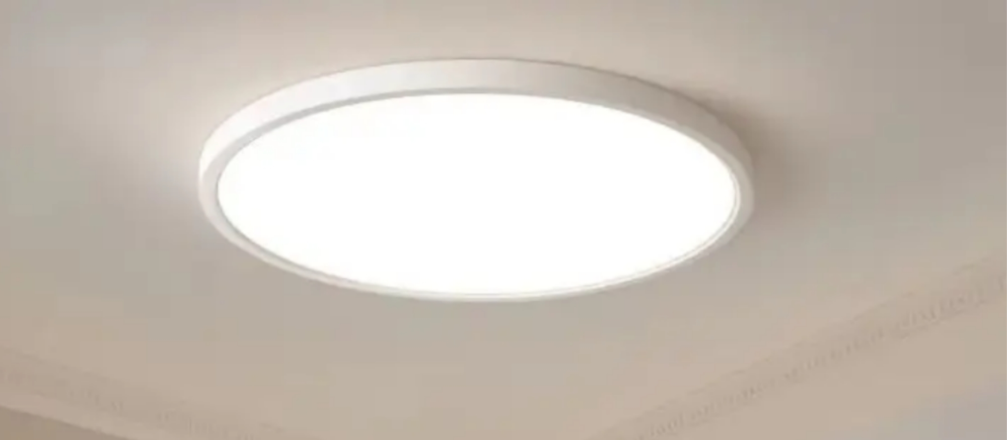 Ceiling Fixture